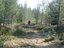 Maastopy�r�ily� Sy�tteell�